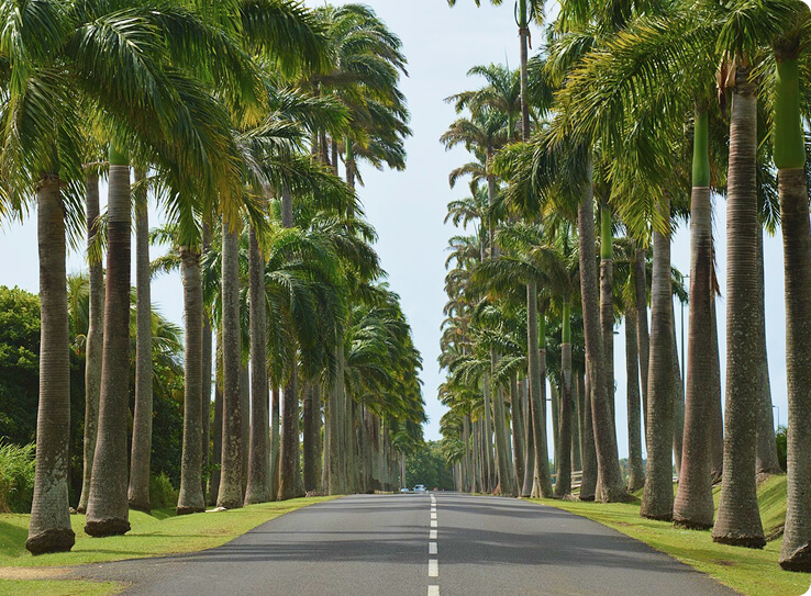 Le Berceau de Moïse